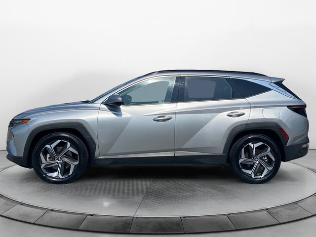 Used 2024 Hyundai Tucson Limited FWD image 2