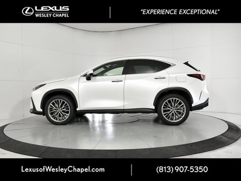 Used 2022 Lexus NX 350h 350h Luxury w/ Vision Package image 10