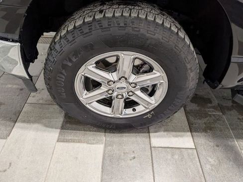 Used 2025 Ford F150 XLT w/ Equipment Group 301A Standard image 8