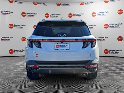Used 2022 Hyundai Tucson Limited image 6