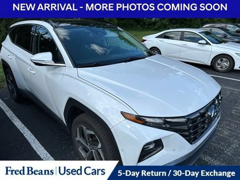 Used 2024 Hyundai Tucson Limited AWD/4WD image 3