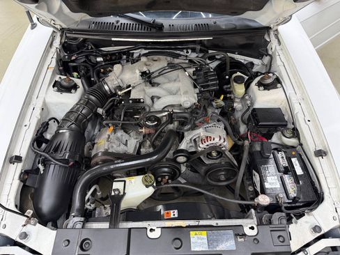 Used 2003 Ford Mustang Convertible RWD image 7