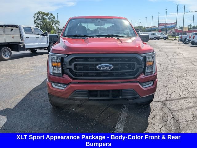 Used 2023 Ford F150 XLT w/ Equipment Group 302A High AWD/4WD image 2