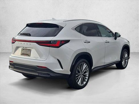 Used 2025 Lexus NX 350 AWD w/ Cold Area Package image 5