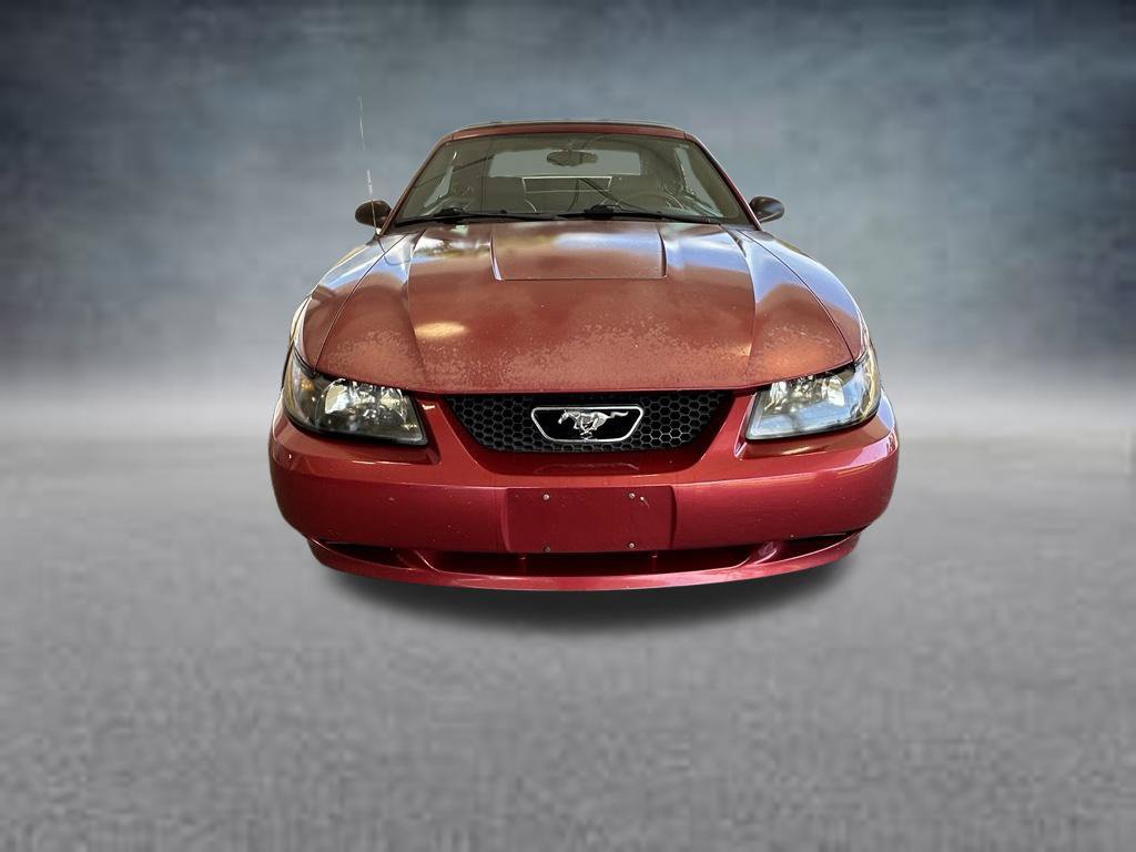 Used 2003 Ford Mustang Convertible RWD image 8