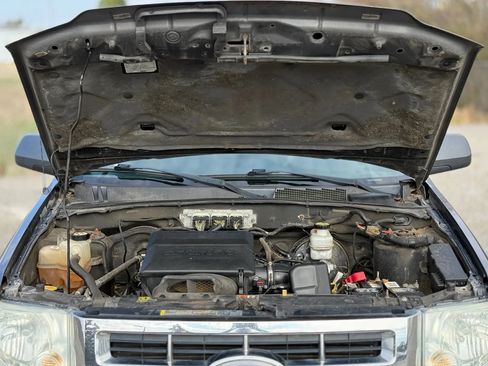 Used 2011 Ford Escape XLT w/ 202A Rapid Spec Order Code image 28