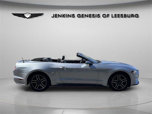 Used 2023 Ford Mustang Premium image 4