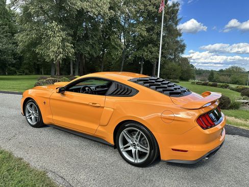 Used 2019 Ford Mustang Coupe w/ Ecoboost Performance Package RWD image 7