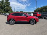 New 2025 Ford Escape ST-Line Select image 4