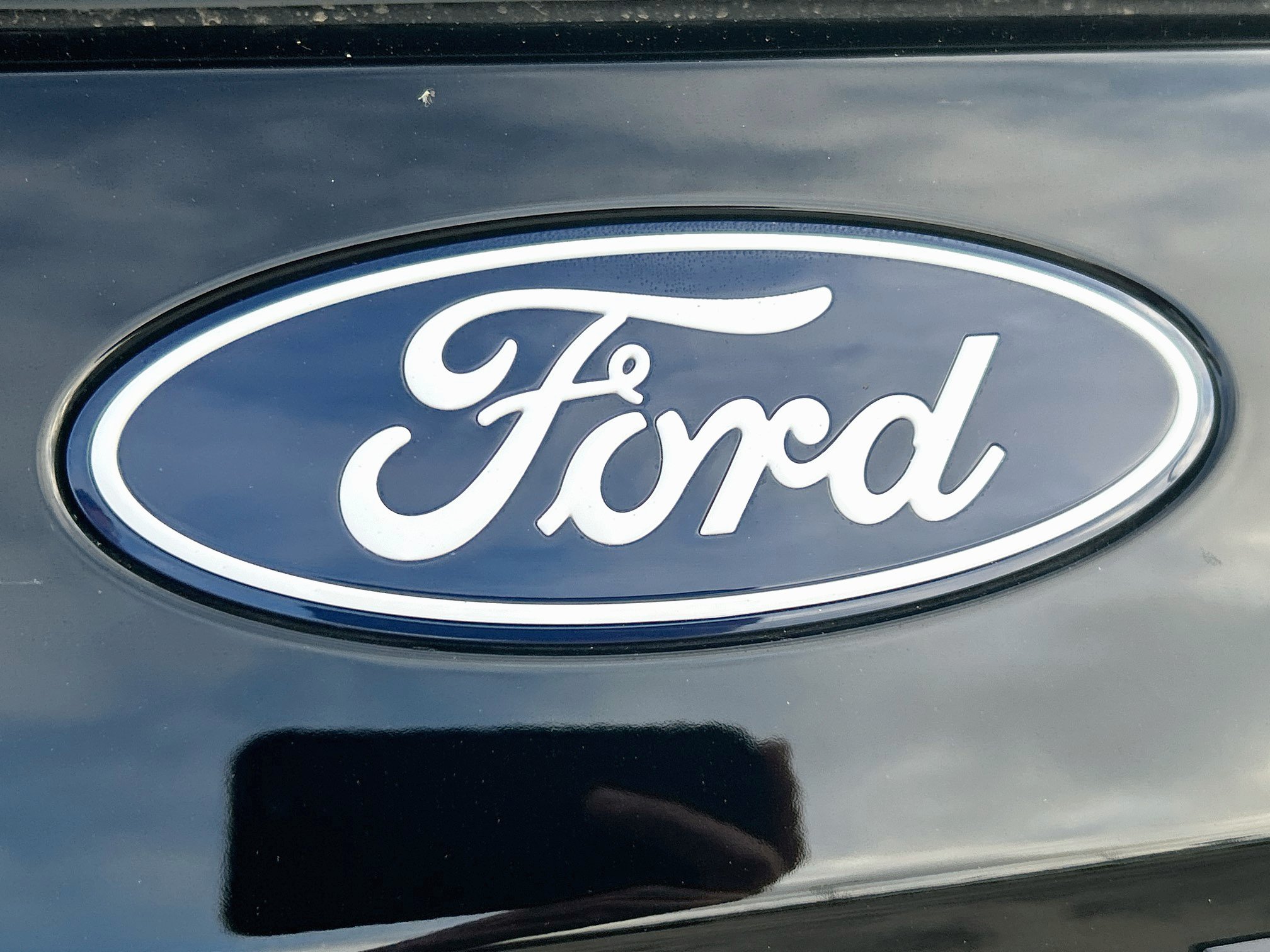 New 2027 Ford Expedition Platinum w/ Stealth Appearance Package RWD image 19