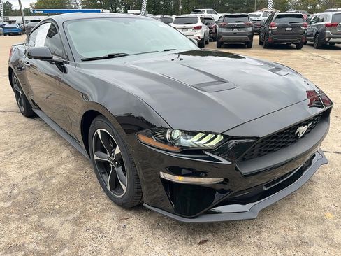 Used 2019 Ford Mustang Coupe image 3