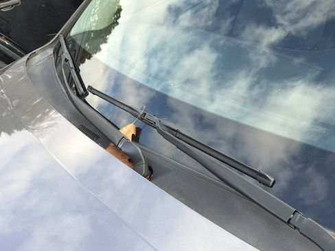 Used 2019 Toyota Highlander LE image 10