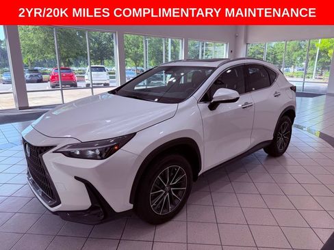 Certified 2024 Lexus NX 350h AWD w/ Cold Area Package image 3