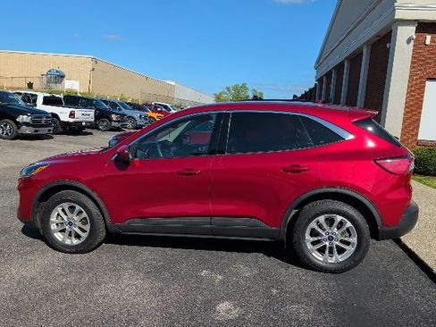 Used 2020 Ford Escape SE AWD/4WD image 11