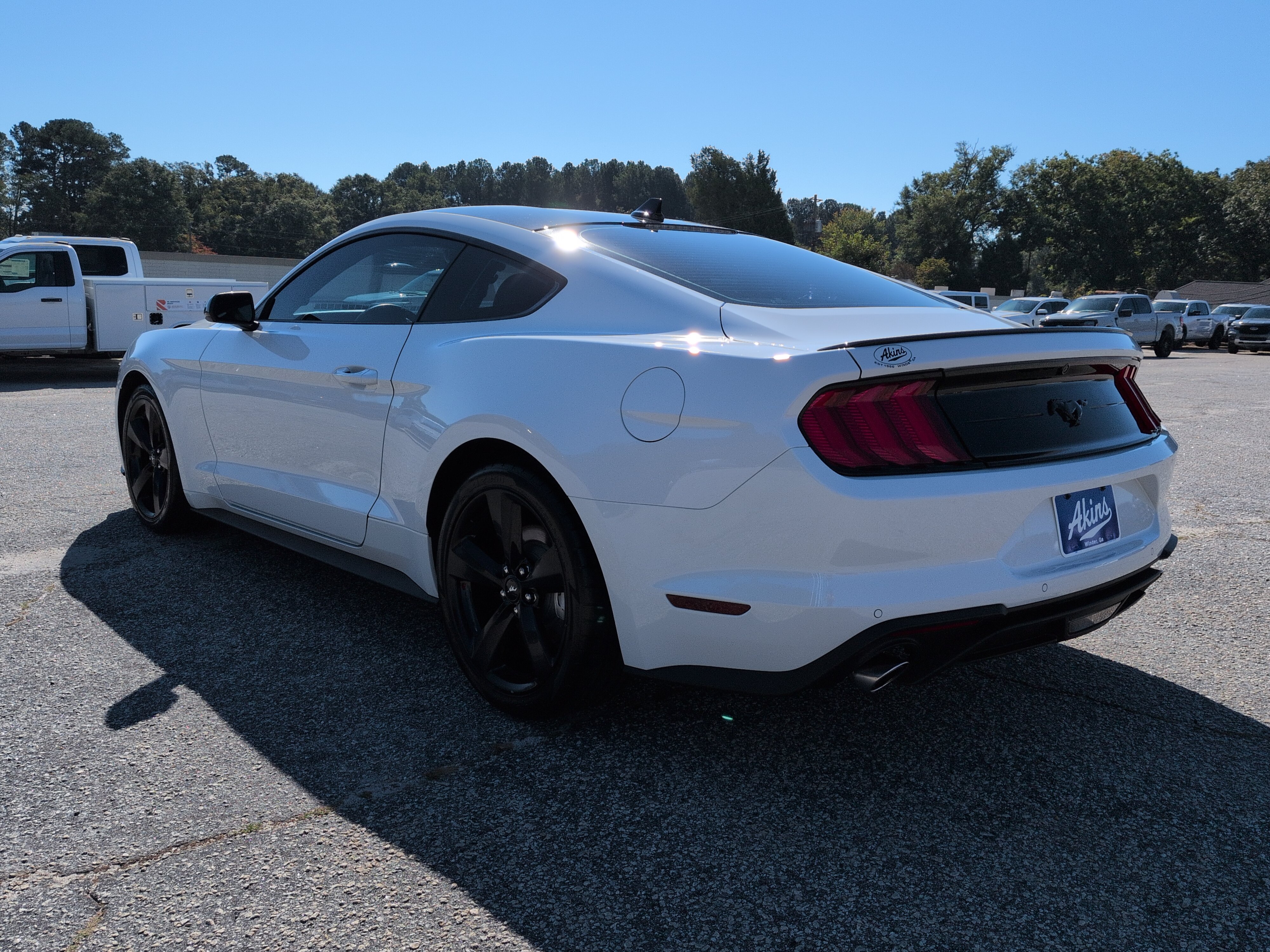 Used 2022 Ford Mustang Coupe w/ Equipment Group 101A RWD image 5