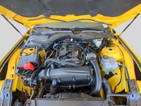 New 2024 Ford Mustang Coupe image 14