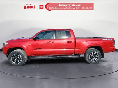 Certified 2023 Toyota Tacoma TRD Sport