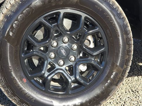 Used 2024 Ford F150 XLT w/ Equipment Group 302A MID image 44