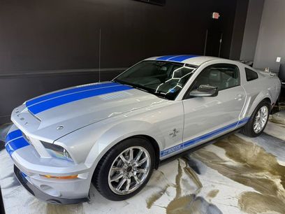 Used 2008 Ford Mustang Shelby GT500