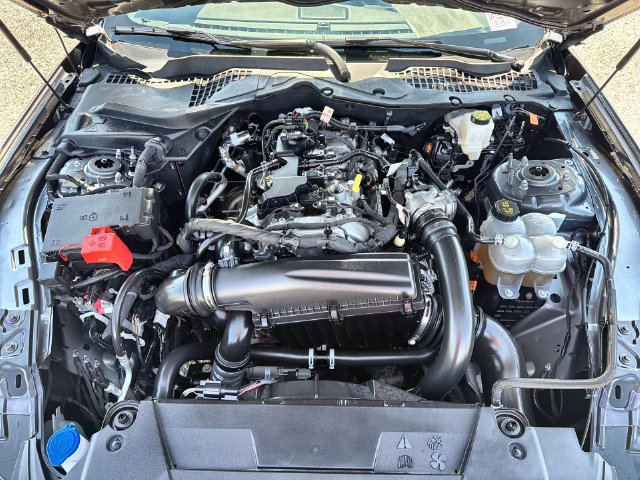 Certified 2025 Ford Mustang Coupe RWD image 24