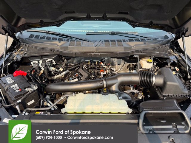 Used 2024 Ford F150 XLT w/ Equipment Group 303A High AWD/4WD image 39