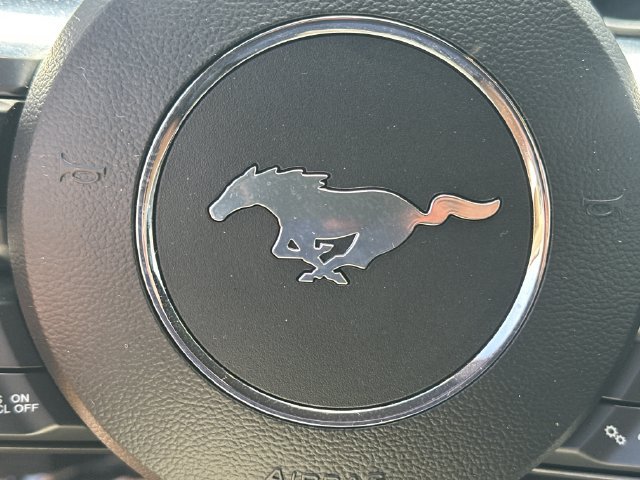 Used 2020 Ford Mustang Premium w/ Equipment Group 201A RWD image 18