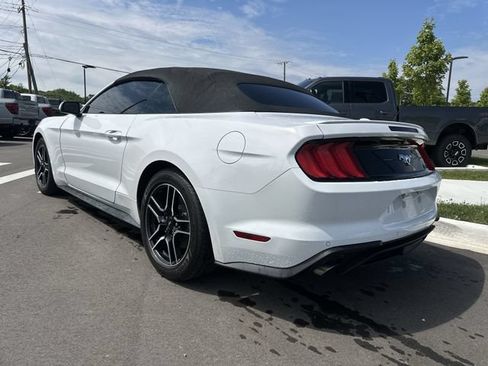 Used 2022 Ford Mustang Premium RWD image 3
