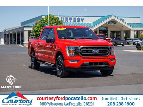 Used 2023 Ford F150 XLT w/ Equipment Group 302A High AWD/4WD image 1