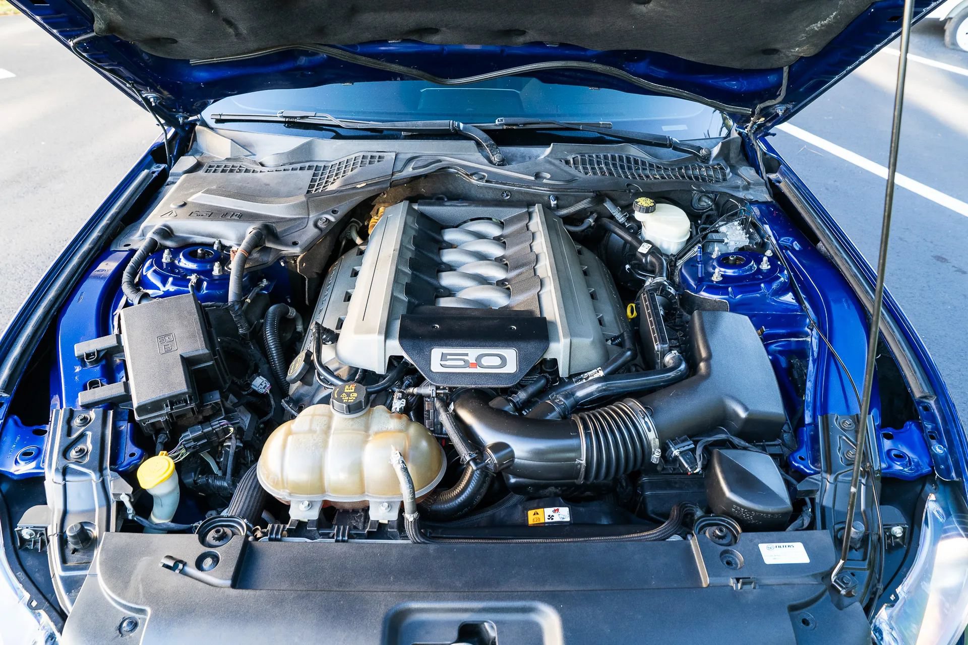 Used 2016 Ford Mustang GT Premium RWD image 15