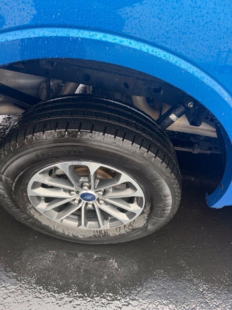 Used 2019 Ford F150 XLT w/ Equipment Group 302A Luxury AWD/4WD image 14