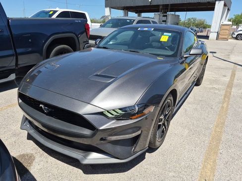 Used 2019 Ford Mustang Coupe w/ Equipment Group 101A image 1