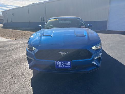 Used 2019 Ford Mustang Premium w/ Equipment Group 201A image 9