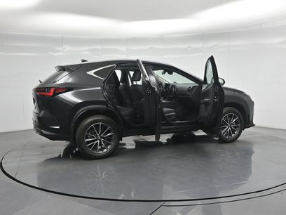 Used 2025 Lexus NX 350h AWD w/ Cold Area Package