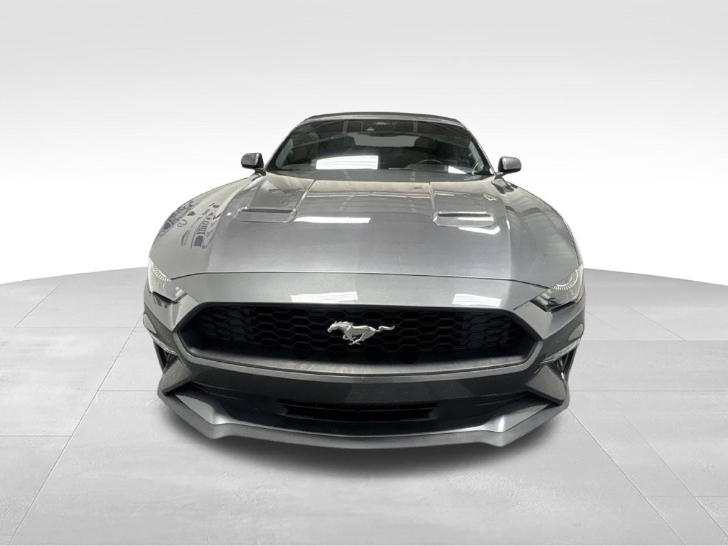 Used 2022 Ford Mustang Premium RWD image 3