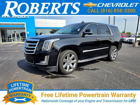 Used 2019 Cadillac Escalade Luxury AWD/4WD image 1