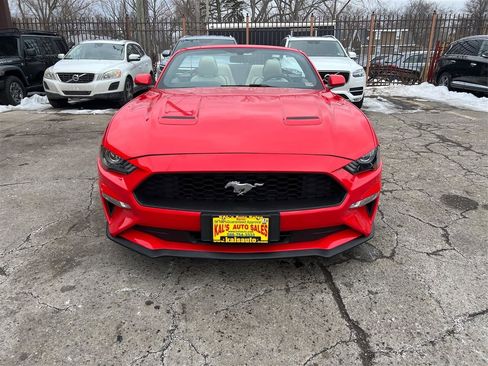 Used 2019 Ford Mustang Premium image 14