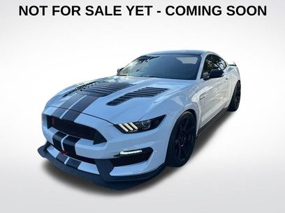 Used 2019 Ford Mustang Shelby GT350R w/ GT350R Equipment Group 920A