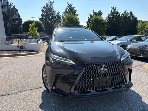 Used 2025 Lexus NX 350 AWD w/ Cold Area Package image 5