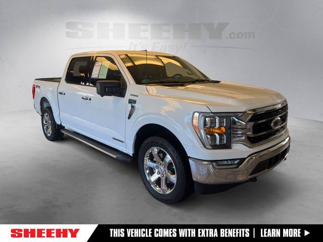 Certified 2022 Ford F150 XLT w/ Equipment Group 302A High AWD/4WD image 1