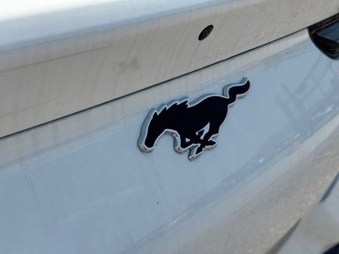 New 2026 Ford Mustang Mach-E Premium w/ Sport Appearance Package AWD/4WD image 17
