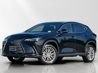 Certified 2025 Lexus NX 350h AWD w/ Cold Area Package video 2