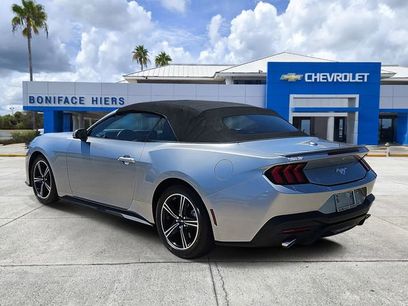 Used 2024 Ford Mustang Premium