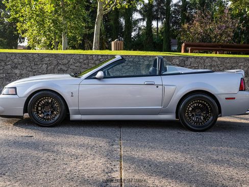 Used 2003 Ford Mustang Cobra RWD image 3
