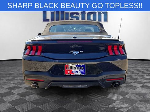 Used 2024 Ford Mustang Premium RWD image 5