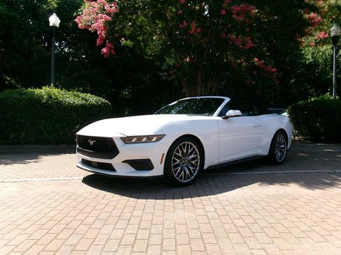 Used 2025 Ford Mustang Premium RWD image 1