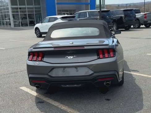 Used 2025 Ford Mustang Premium RWD image 7