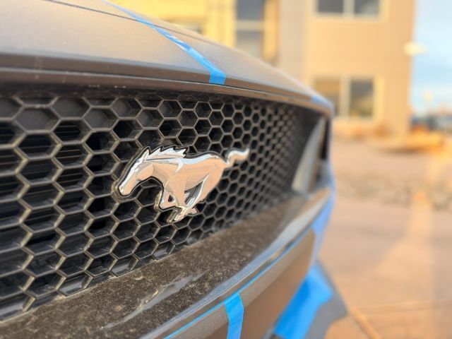 Used 2022 Ford Mustang GT Premium RWD image 4