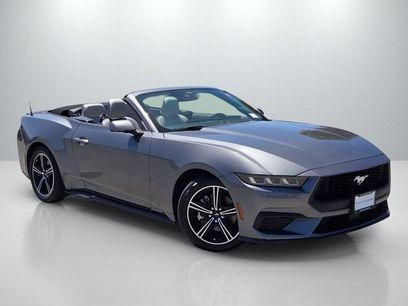 Used 2024 Ford Mustang Premium