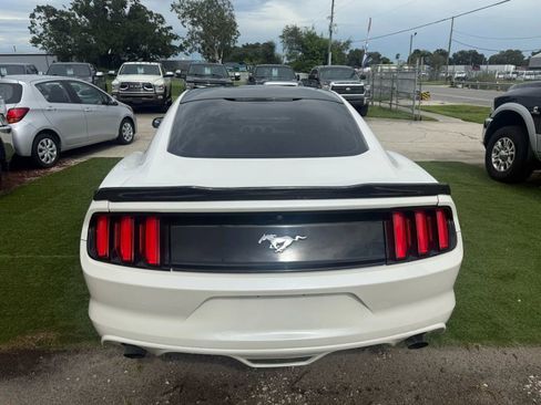 Used 2017 Ford Mustang Coupe w/ Interior & Wheel Package image 5