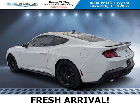 Used 2024 Ford Mustang EcoBoost w/ Mustang Nite Pony Package image 5